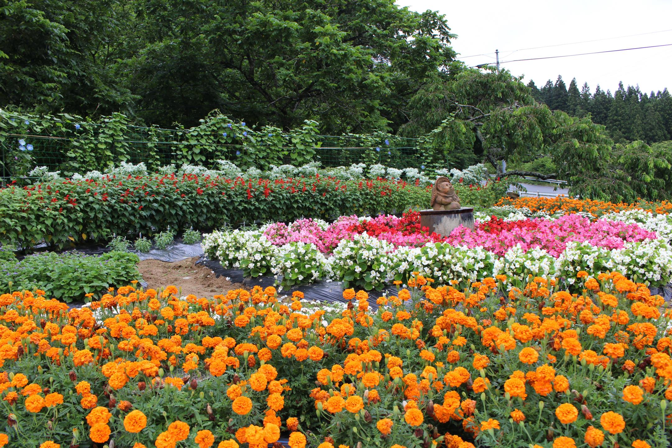 第10区自治会の花壇